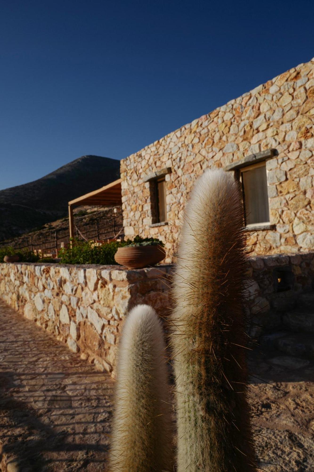 Phisis Nature Retreat Donoussa Exterior foto